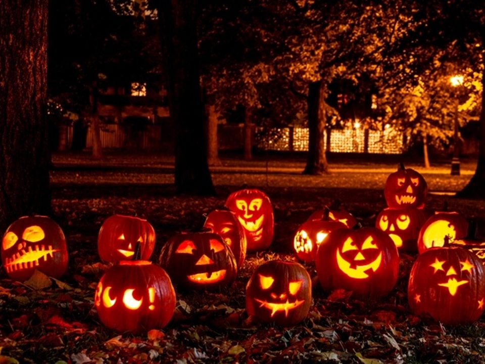 Iluminated halloween carved pumpkins